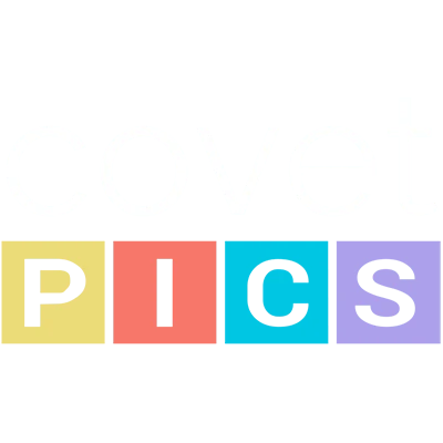 Logo of Covet.pics