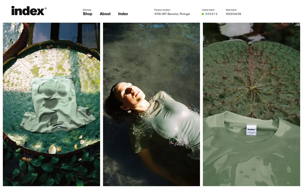 Homepage