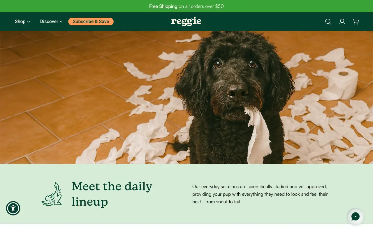 Homepage
